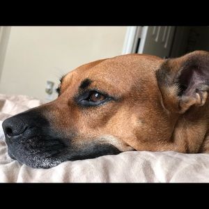 Meet your Posher, Khadejah